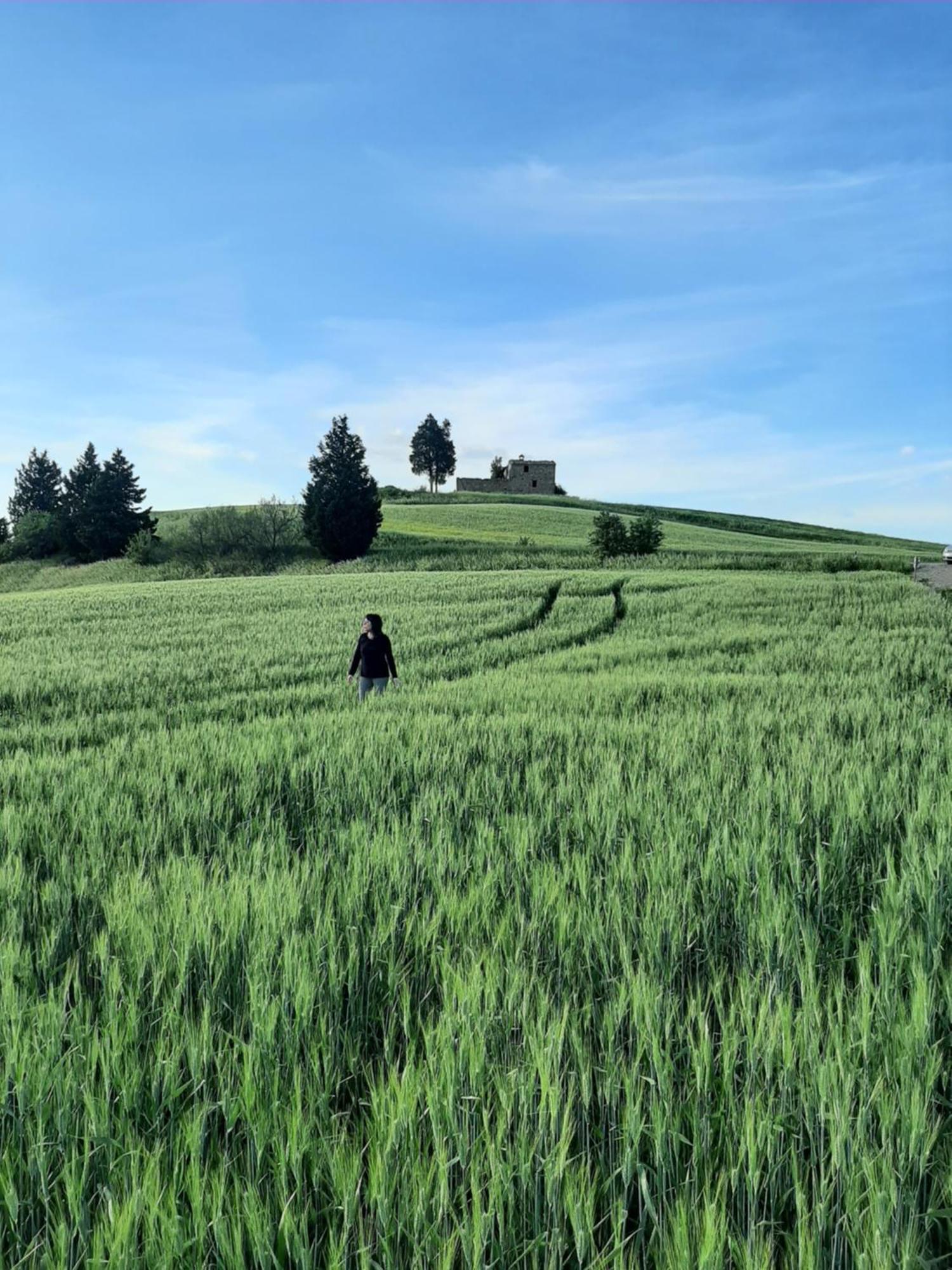 Terisuite 14 Siena Kültér fotó